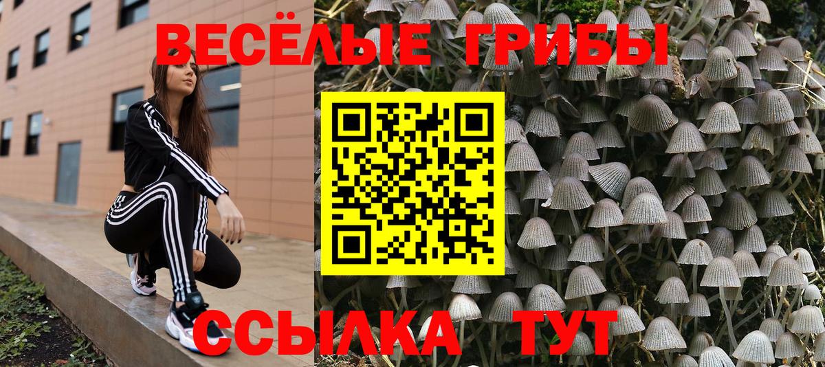 Усть-Джегута  Галлюциногенные грибы GOLDEN TEACHER  Галлюциногенные грибы ЛСД  Вход с VPN 